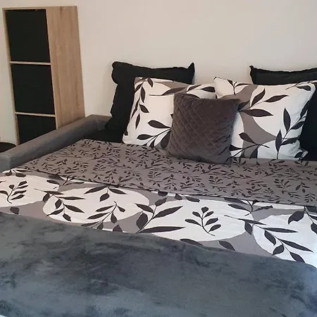 Charming 1-bedroom With Free Parking ニース