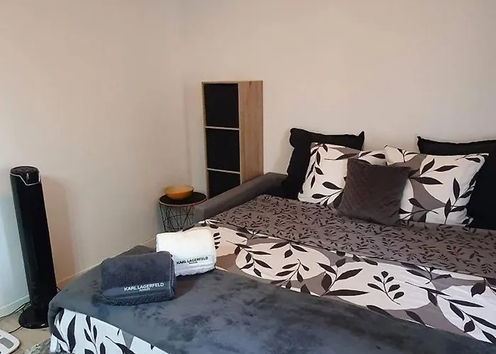 Charming 1-bedroom With Free Parking Apartment